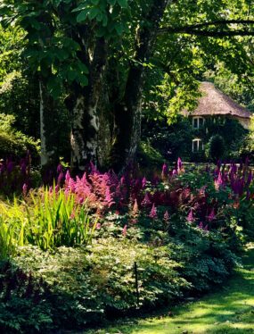 Hulp bij het kiezen van jouw vakantie: bijvoorbeeld de tuinen van Lanhydrock in Cornwall