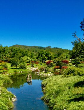 Bezienswaardigheden in de Cévennes: de Japanse tuin in La Bambouseraie