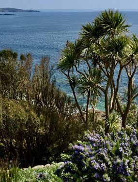 Vakantie in Cornwall: hier met uitzicht vanaf Saint Michael's Mount