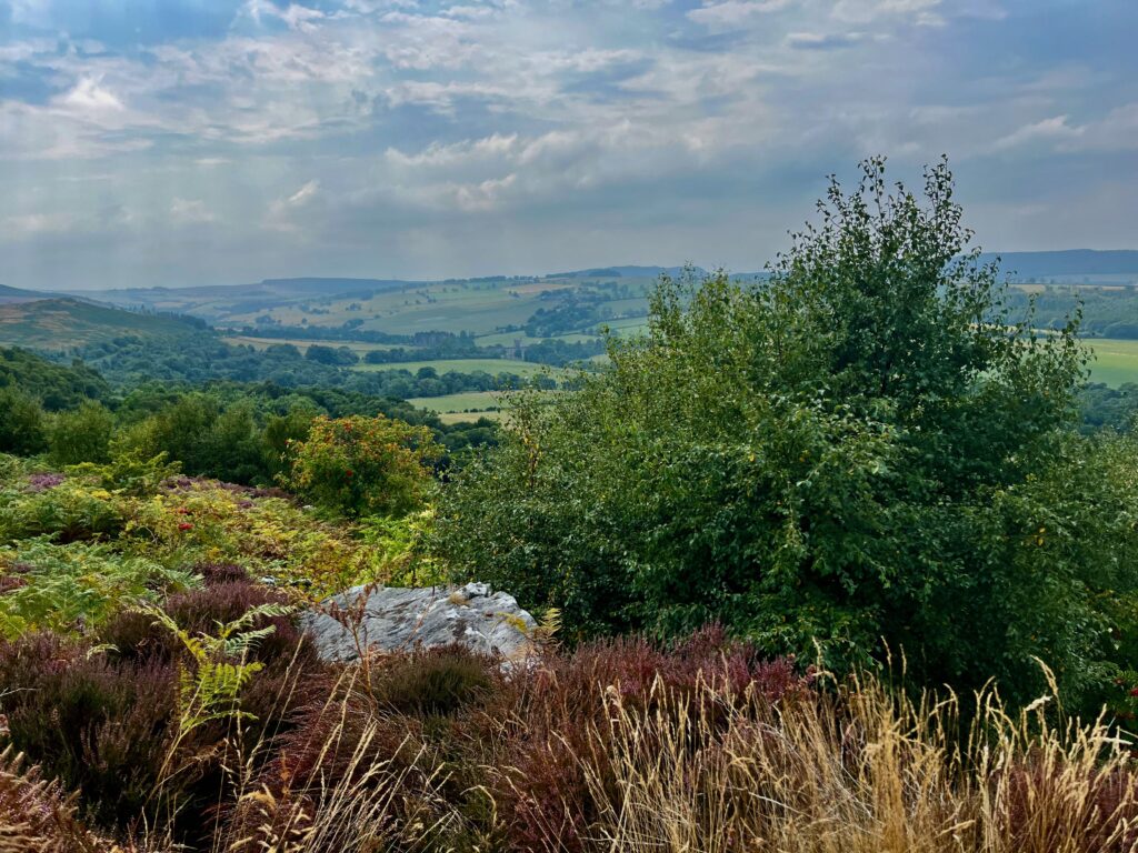 Vakantie in Northumberland: Uitzicht over de Cheviot Hills op de B6341 vlak voor Alnwick