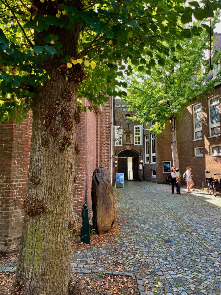 Stadswandeling door het oude Maastricht: De Bosquetplein met het Natuurhistorisch Museum