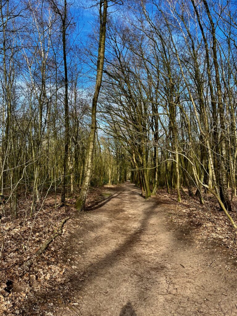 De rode route op de Grebbeberg