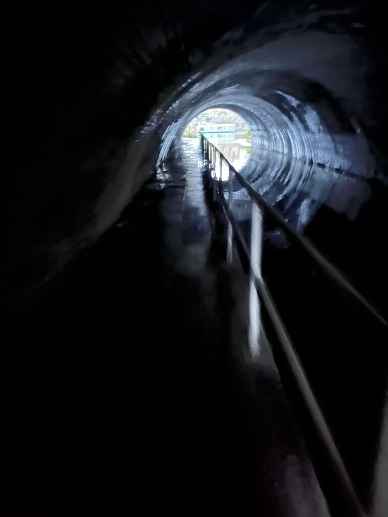 Tunnelvisie