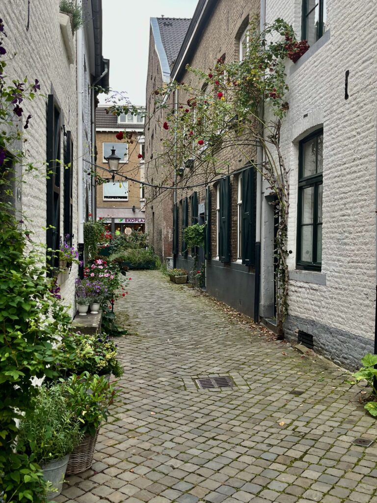 Kattenstraat in Wyck