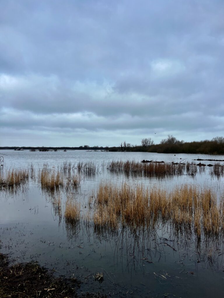 De leukste activiteiten op Schiermonnikoog: De Westerplas