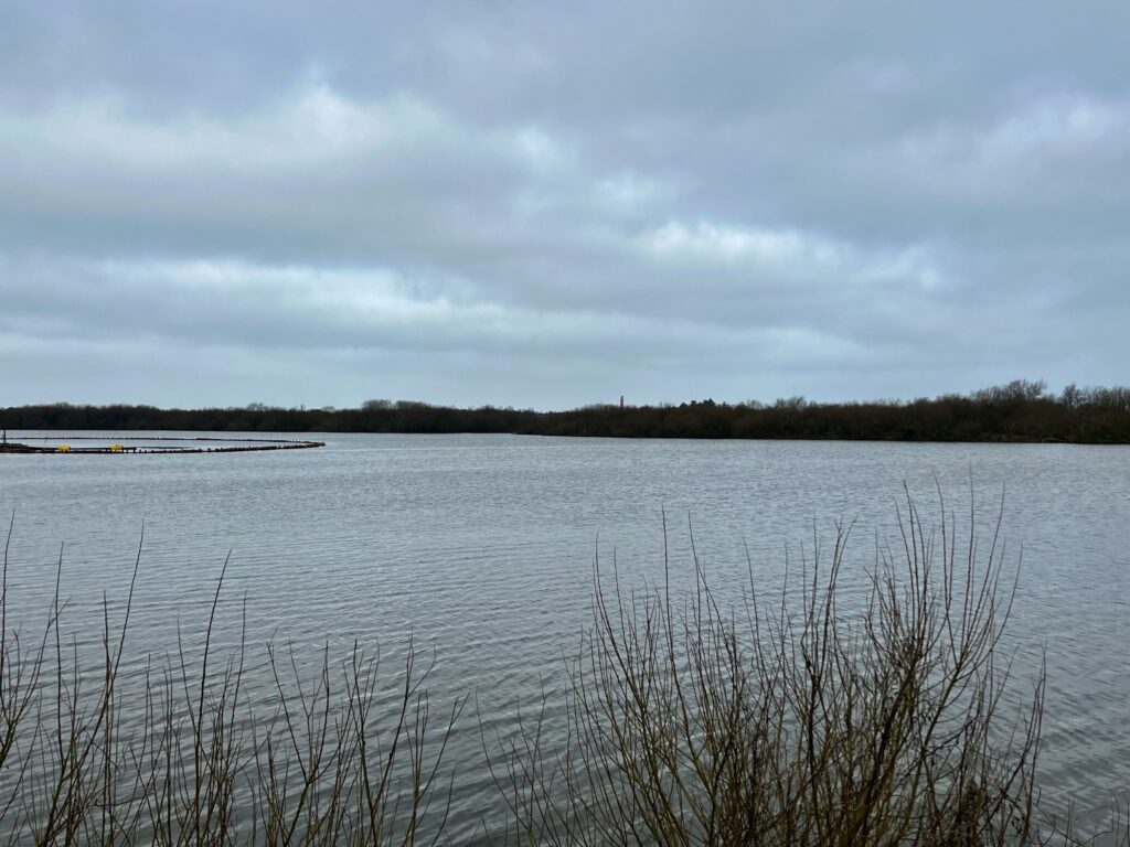 De leukste activiteiten op Schiermonnikoog: Uitzicht over de Westerplas vanaf de vogeluitkijkhut