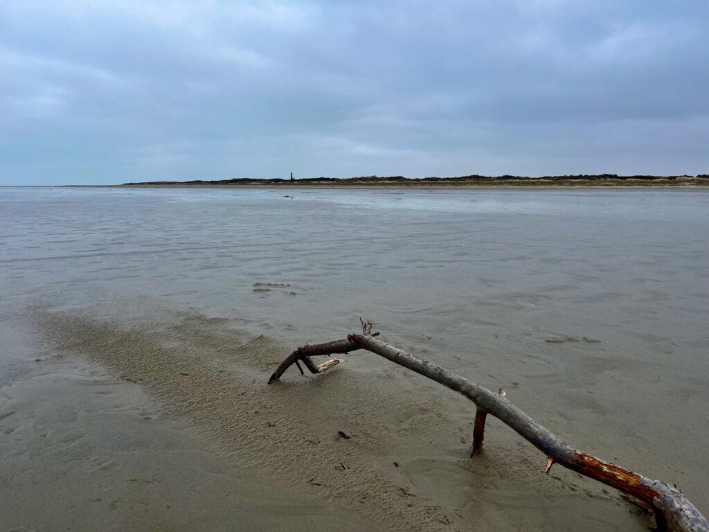 Het Westerstrand in al zijn wildheid
