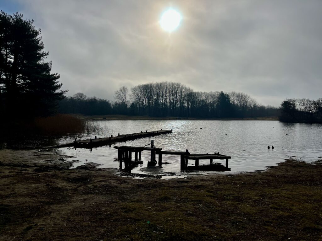 De leukste activiteiten op Schiermonnikoog: De Berkenplas in de ochtendzon