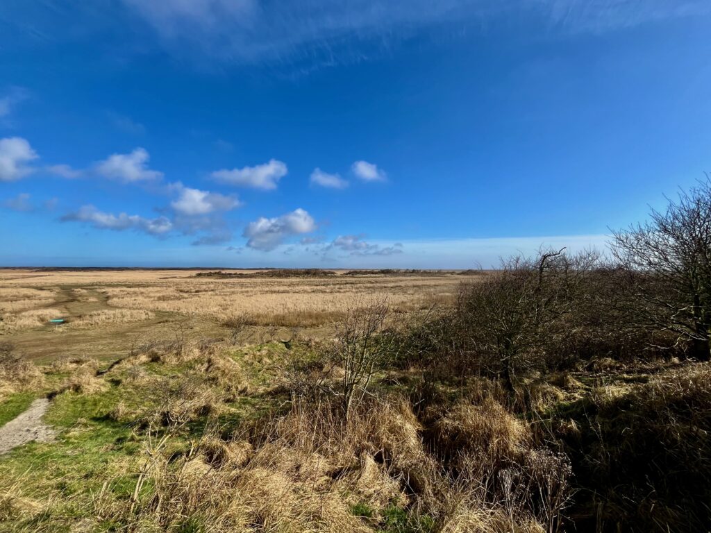De leukste activiteiten op Schiermonnikoog: Uitzicht over de prairie van de Kobbeduinen