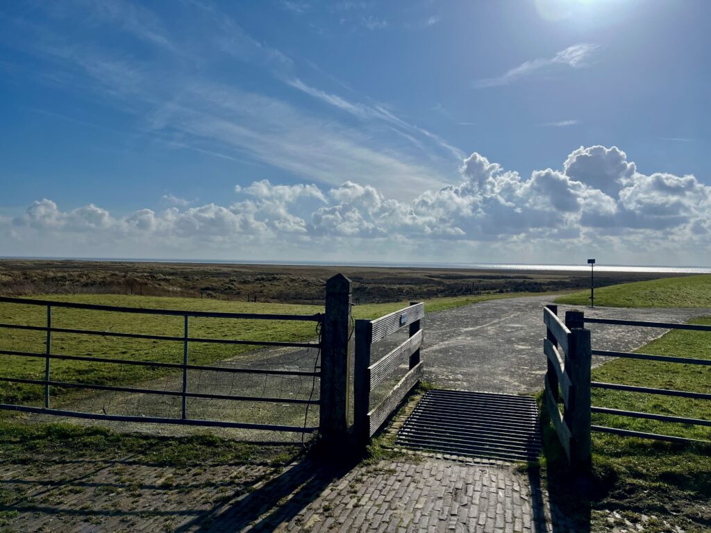 De leukste activiteiten op Schiermonnikoog: Uitzicht vanaf het Dijkpad op de Waddenzee