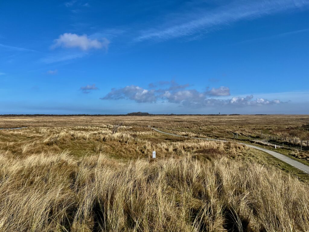 De leukste activiteiten op Schiermonnikoog: Uitzicht over de Kobbeduinen bij de kruising van het Kwelder- en Dijkpad