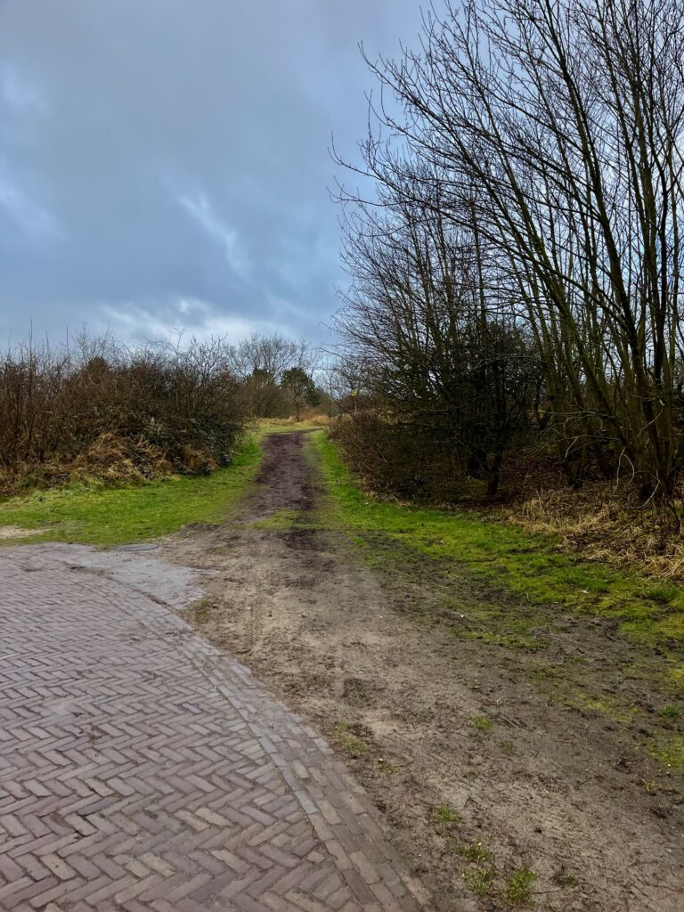 Op de hoek van de Van Westerholtlaan steken we het veld in...