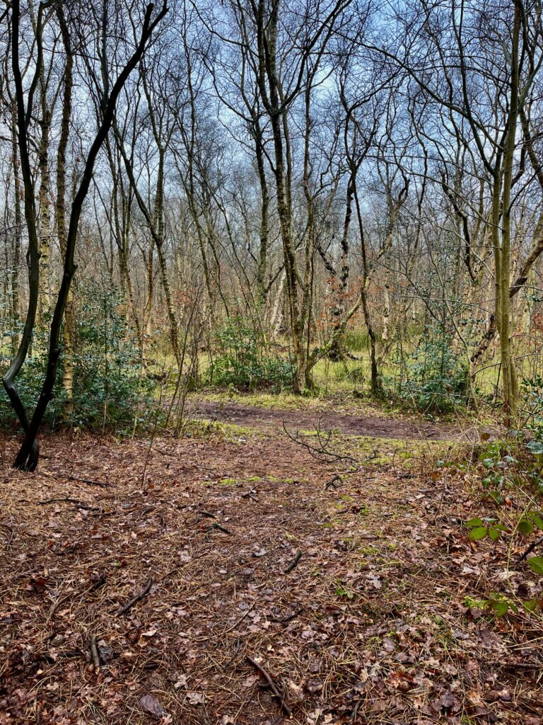 ...komen we helemaal aan het einde van het speelterrein op een wandelpad uit. Die slaan we links in...