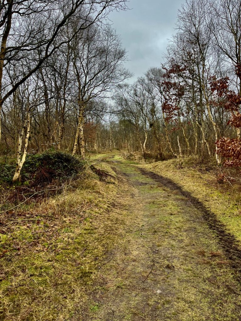 Gelukkig wordt het in de buurt van de Berkenplas mooier. Daar wordt het weer wat heuvelachtiger...