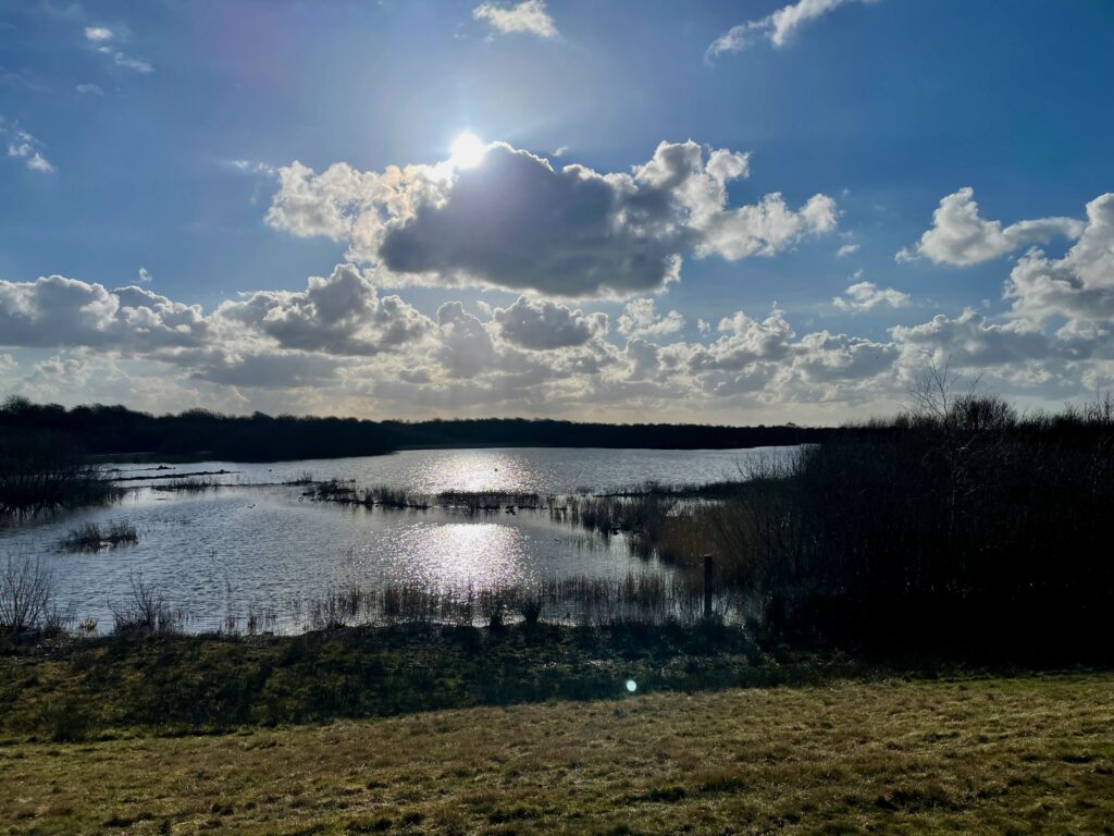 Uitzicht over de Westerplas bij zonnig weer