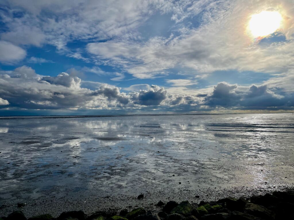 De leukste activiteiten op Schiermonnikoog: Uitzicht vanaf de Waddendijk op Schiermonnikoog