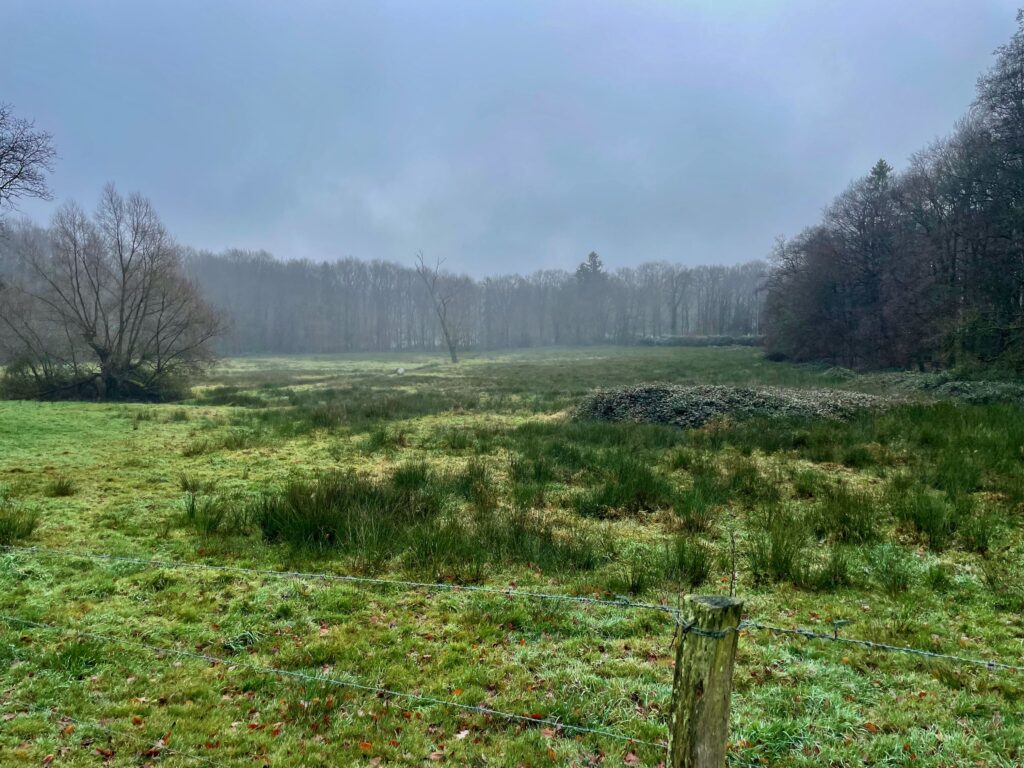 Golvende en bevroren velden achter De Wilmersberg