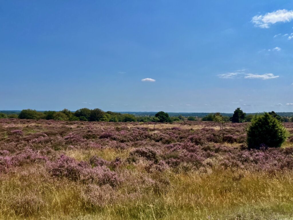 Ver kijken vanaf de Holterberg