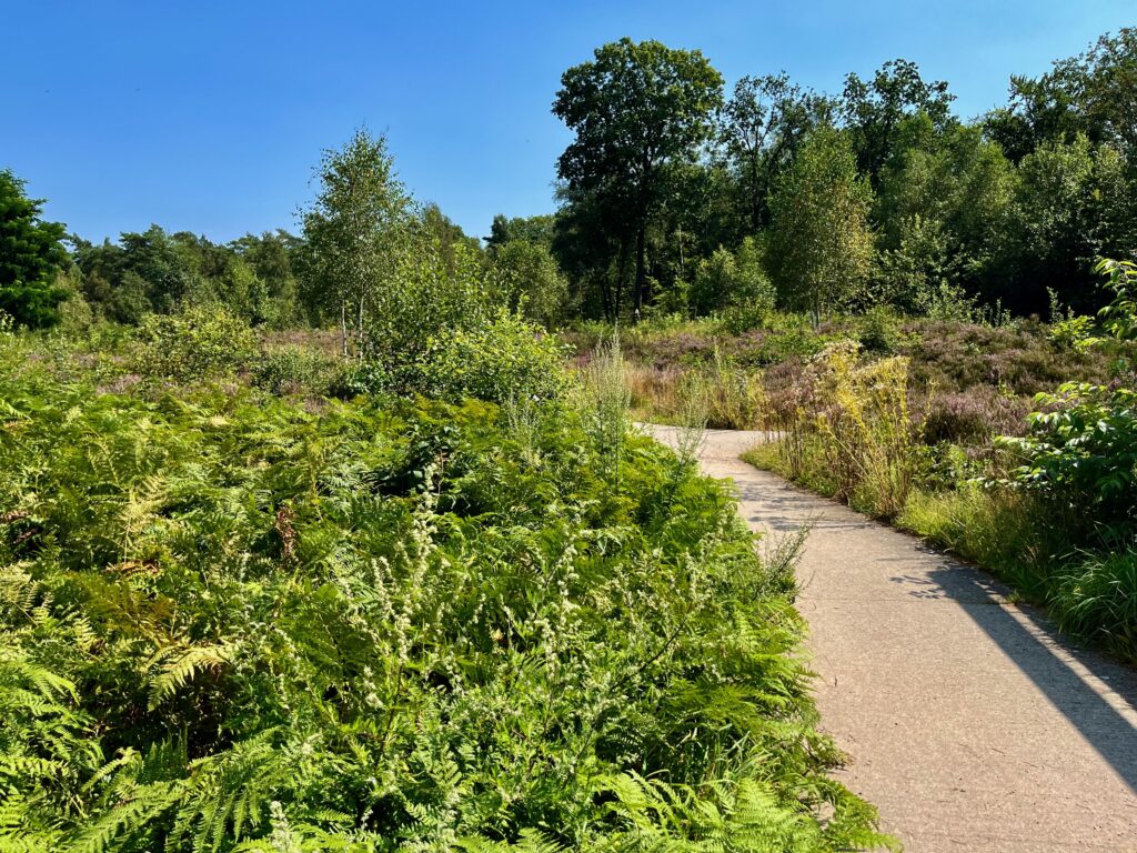 De eerste meters van de paden vanaf het Buitencentrum