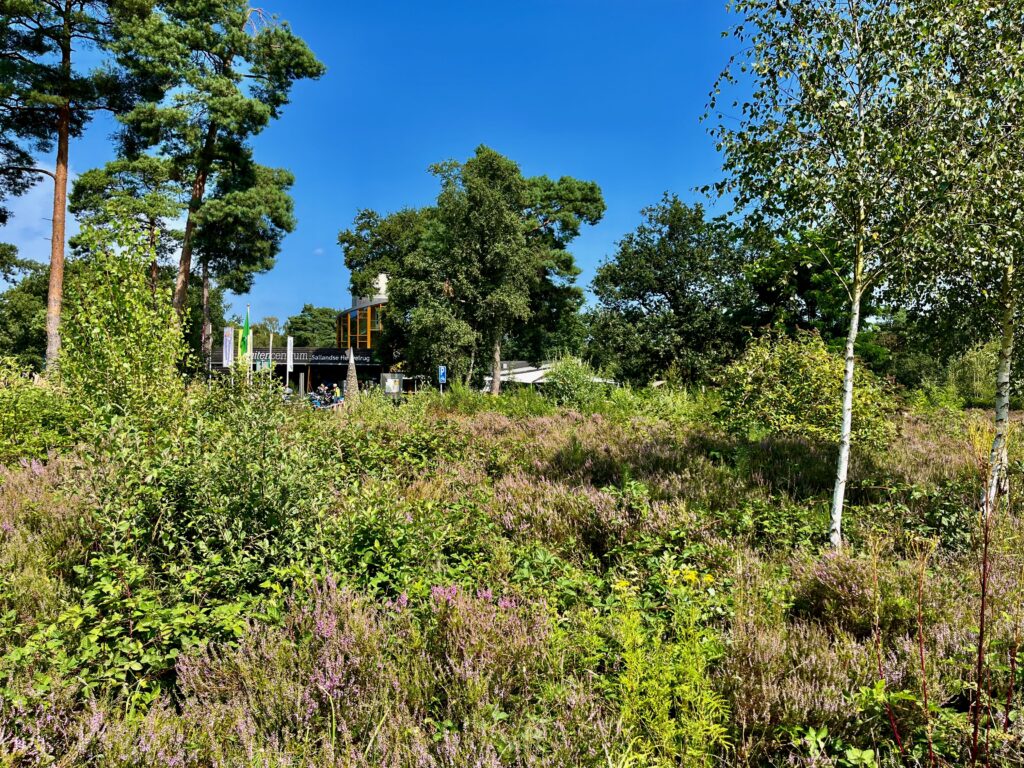 De mooiste wandelingen in Twente: Het Buitencentrum van Staatsbosbeheer van de Sallandse Heuvelrug