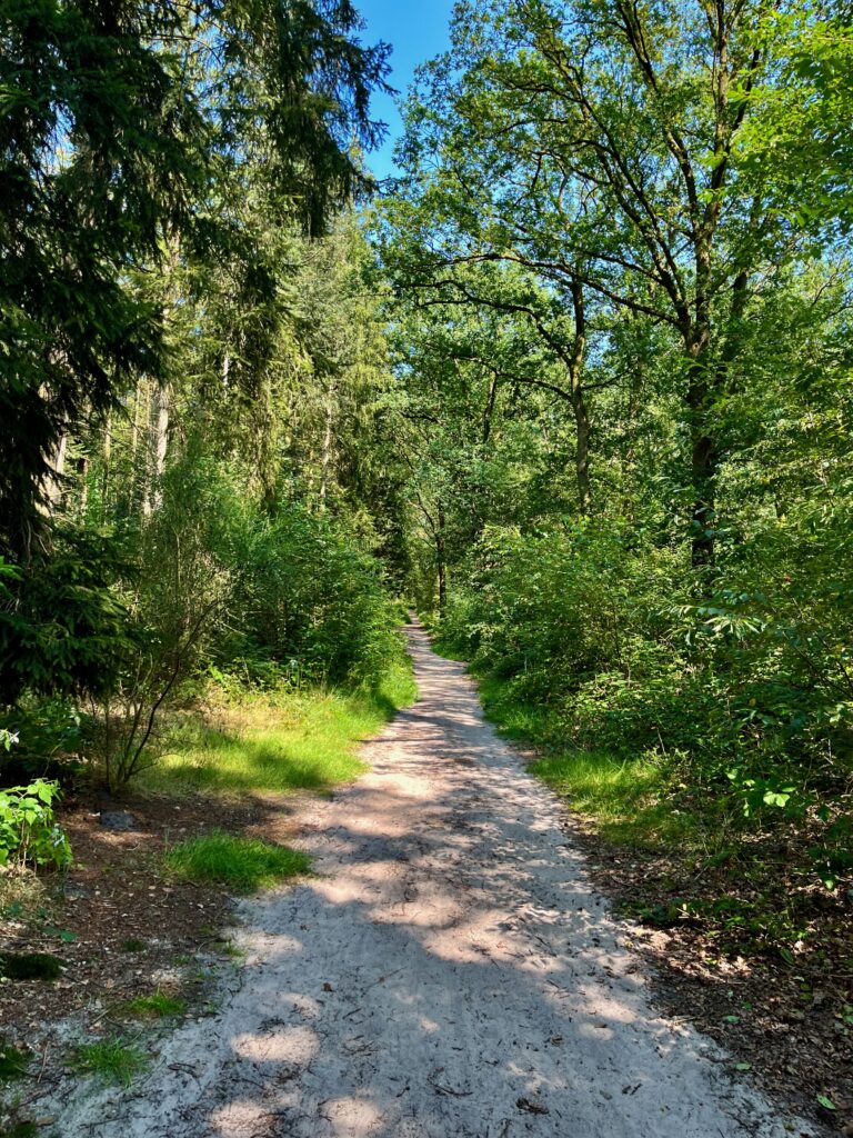 De mooiste wandelingen in Twente: Het wandelpad naar de Besthmenerberg