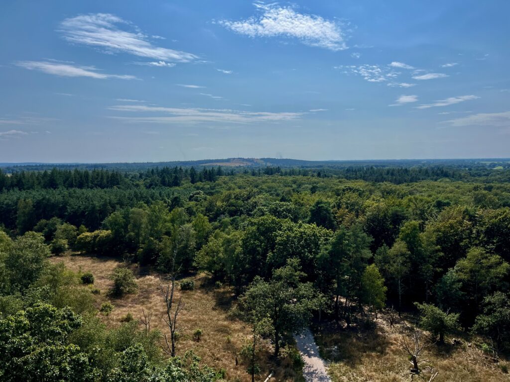 De mooiste wandelingen in Twente: Uitzicht vanaf de uitkijktoren van de Besthmenerberg op de Archemerberg