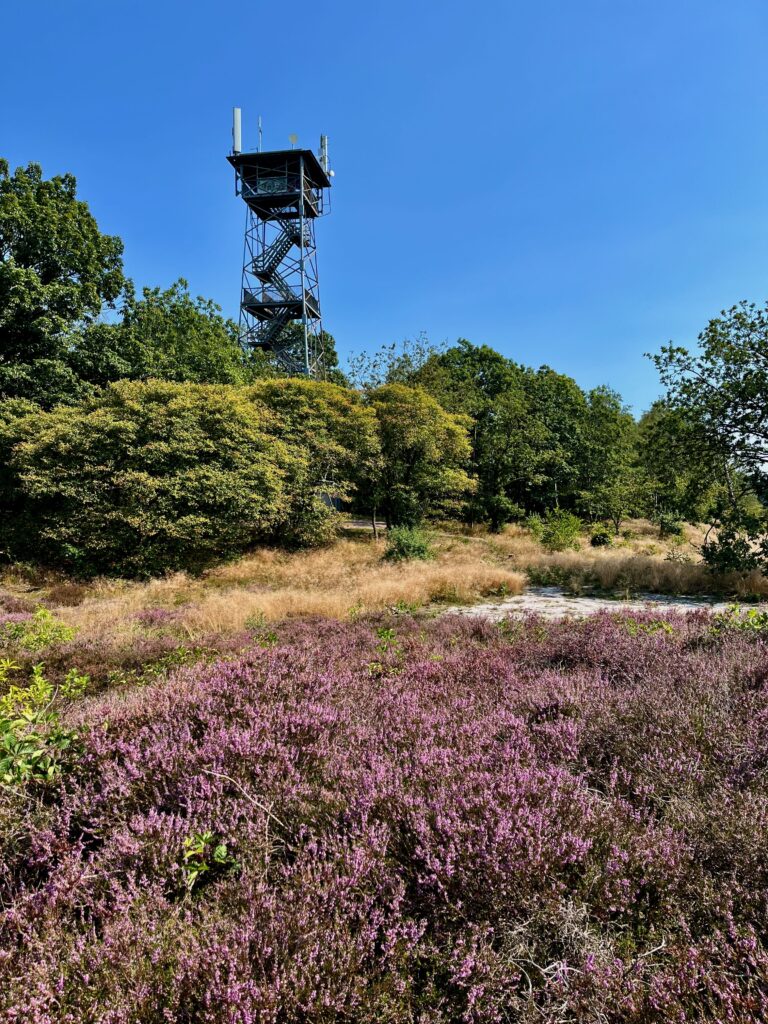 De mooiste wandelingen in Twente: De uitkijktoren op de Besthmenerberg