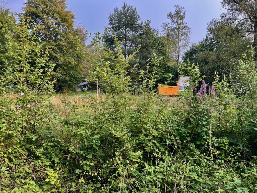 Camping De Klashorst