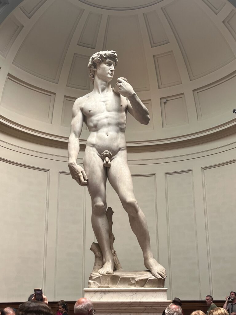 De David van dichterbij