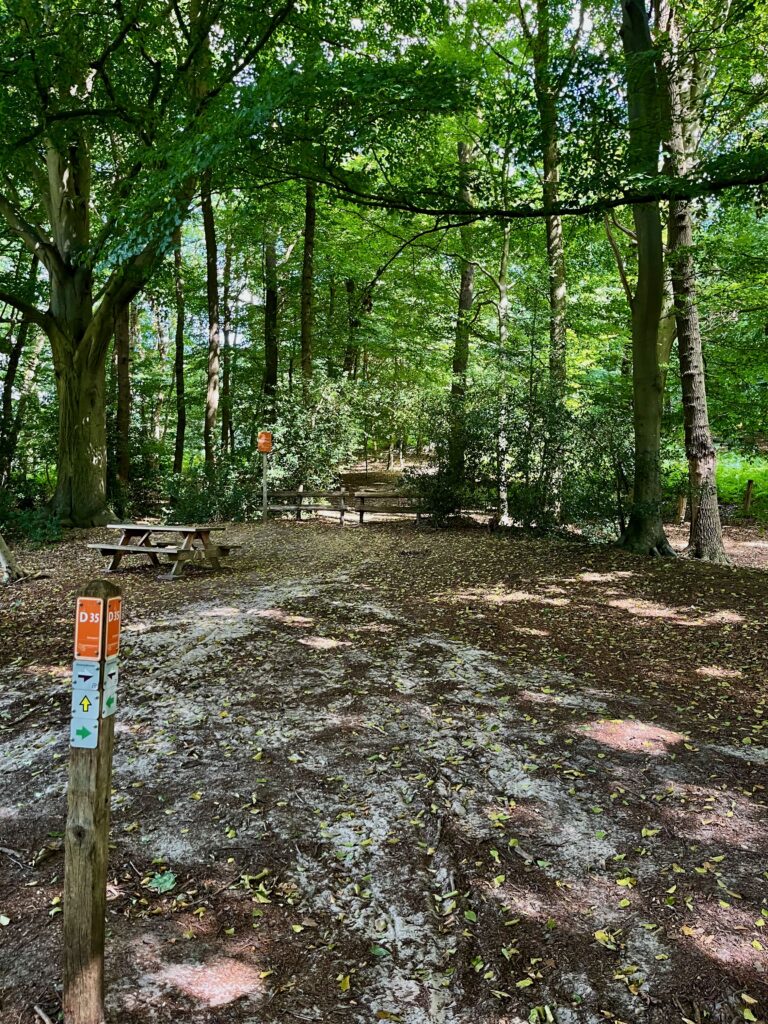 De mooiste wandelingen in Twente: Aan de voet van de Tutenberg bij Vasse