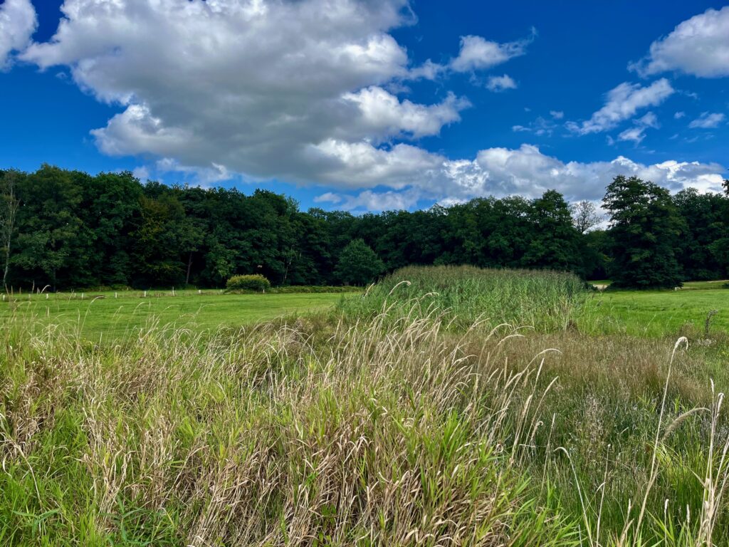 De mooiste wandelingen in Twente: Uitzicht over een coulisselandschap bij Vasse in Twente