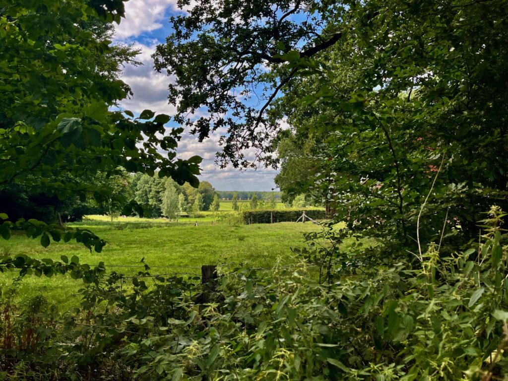 De mooiste wandelingen in Twente: Uitzicht vanaf de Braamberg bij Vasse