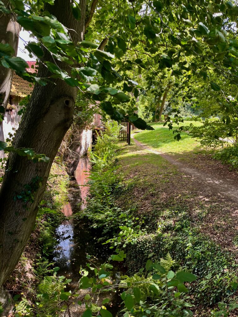 De mooiste wandelingen in Twente: De Mosbeek bij de Watermolen Frans