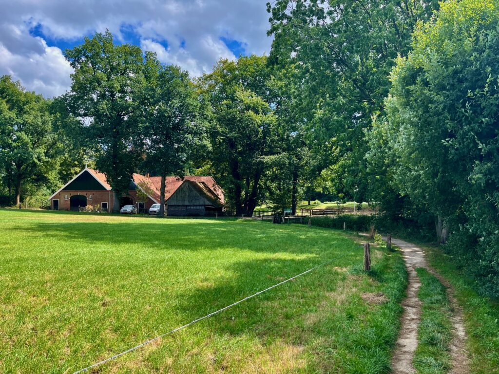 De mooiste wandelingen in Twente: De Watermolen Frans bij de Mosbeek