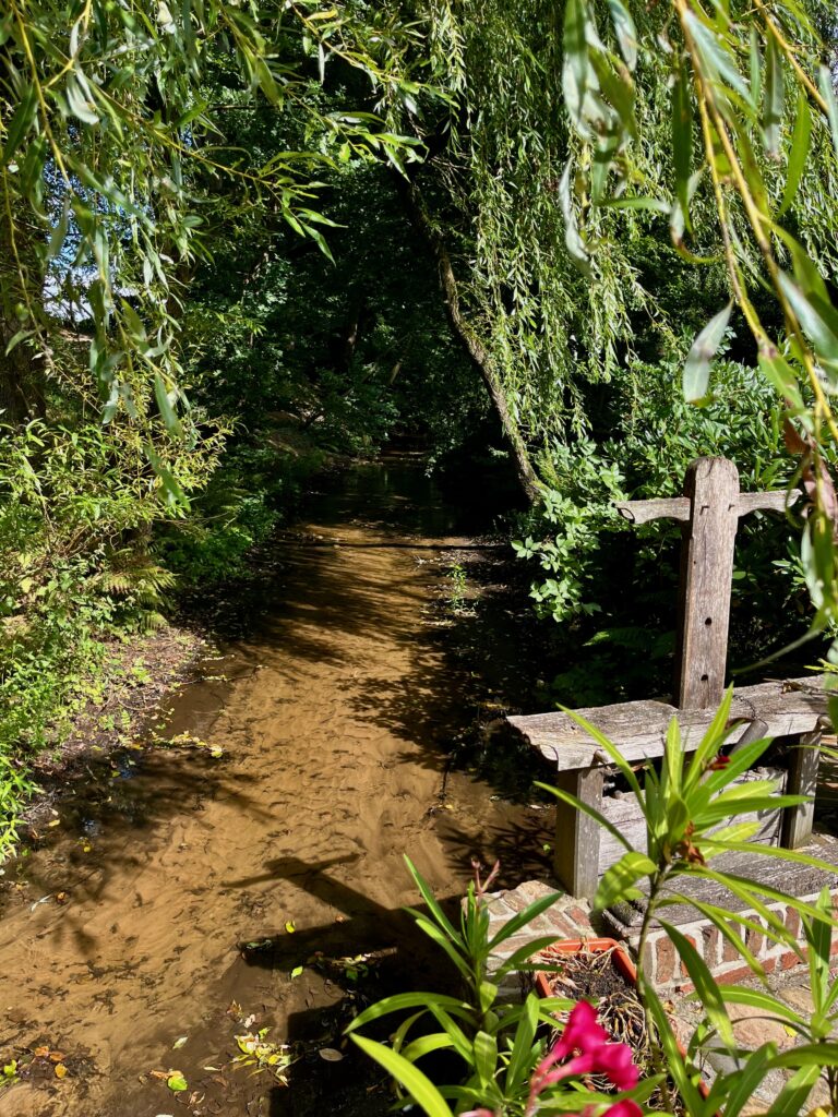 De mooiste wandelingen in Twente: De Mosbeek bij de Watermolen Bels