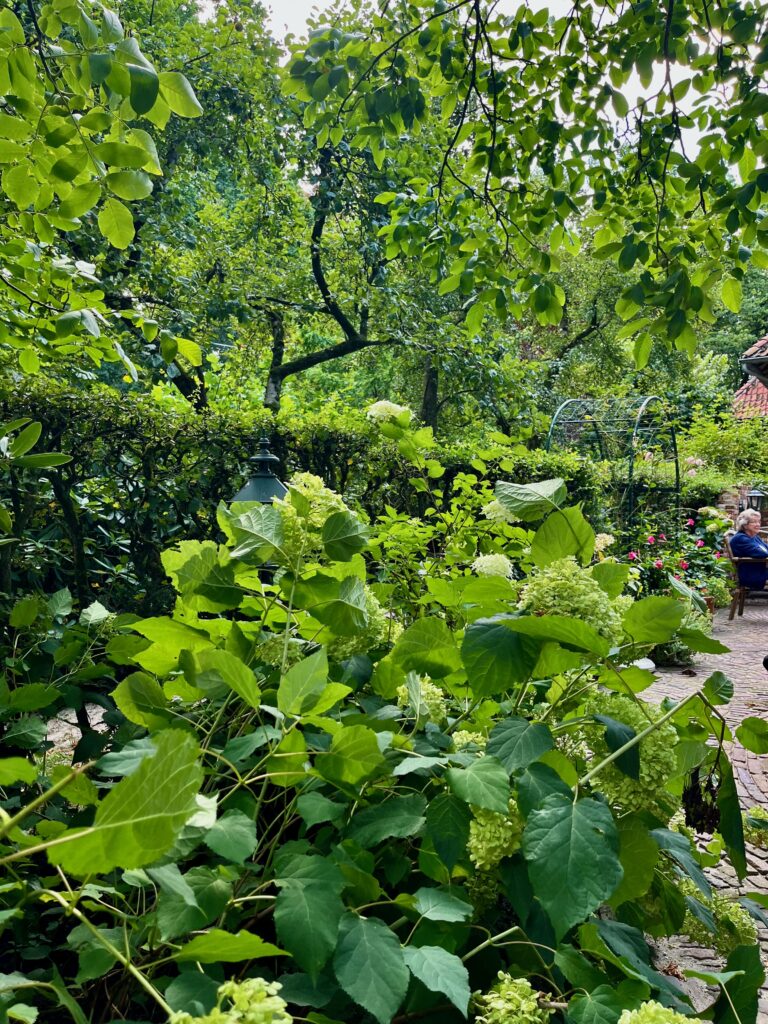 De mooiste wandelingen in Twente: Het lommerrijke terras van Watermolen Bels
