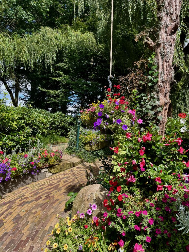 De mooiste wandelingen in Twente: Het kleurrijke terras van Watermolen Bels