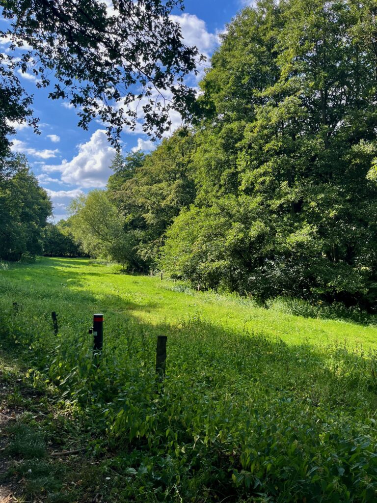 Doorkijk langs de Mosbeek