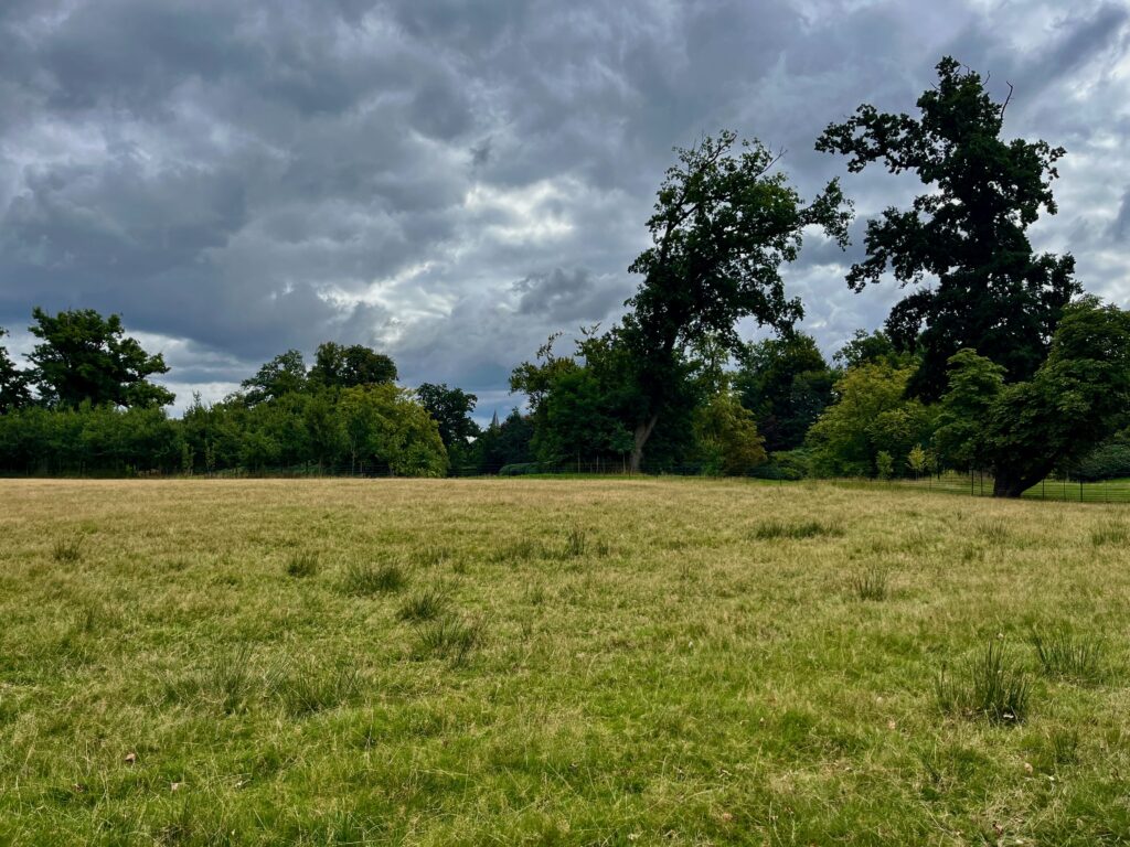 Uitzicht langs de Wildbaan op de Hertenweide