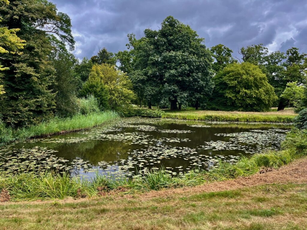 De mooiste wandelingen in Twente: Het uiterste puntje van de Spiegelvijver achter het Bergje