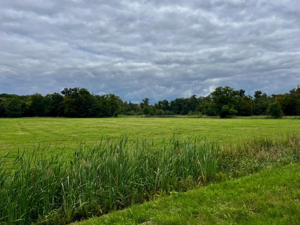 Uitzicht over het park rondom het kasteel