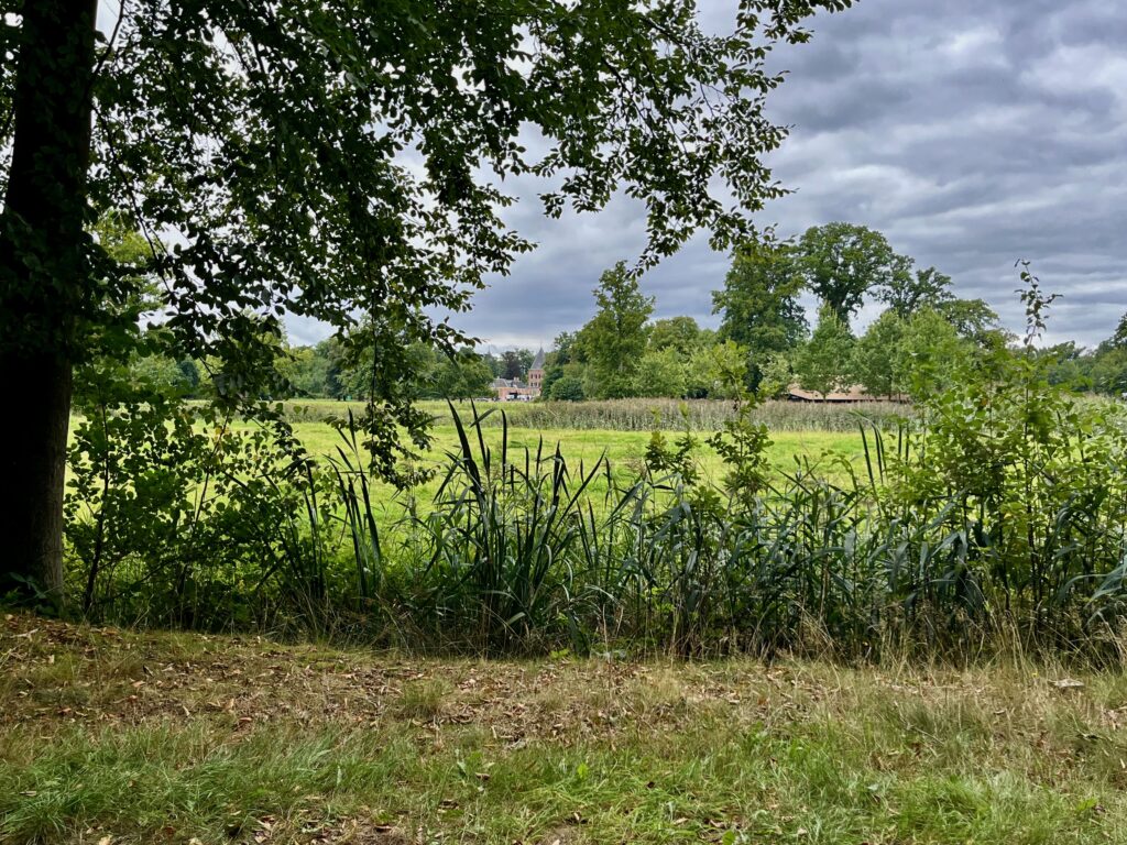 Het kasteel vanuit het park