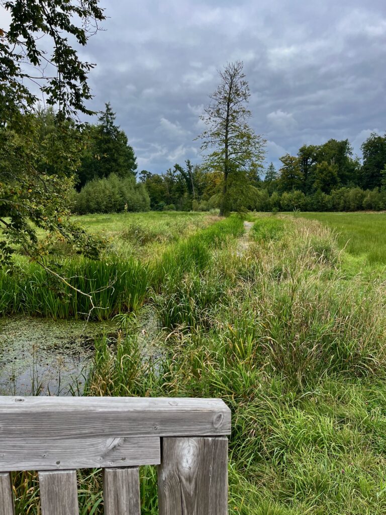 De mooiste wandelingen in Twente: De Oelerbeek