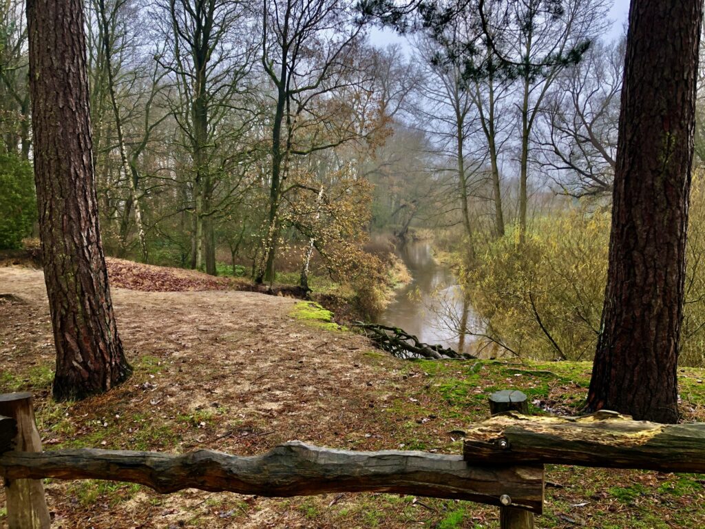 De mooiste wandelingen in Twente: De Dinkel verwijdert zich weer van de wandelroute