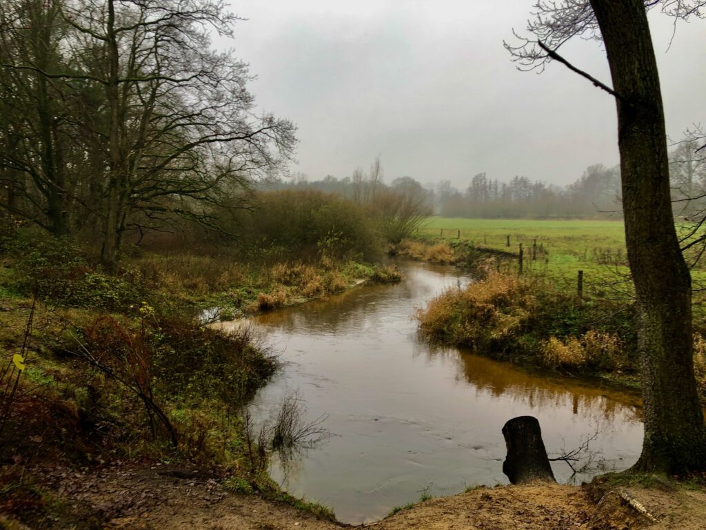 De mooiste wandelingen in Twente: De Dinkel meandert door het Lutterzand