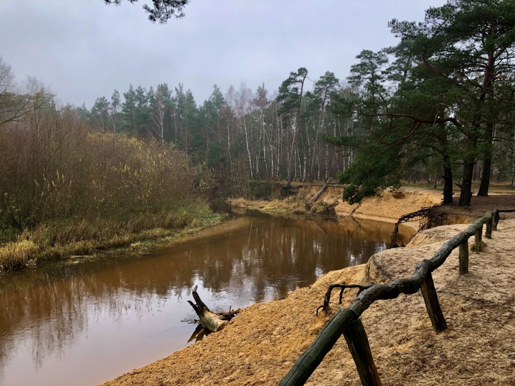 De Dinkel heeft het stuifzand hier uitgesneden...