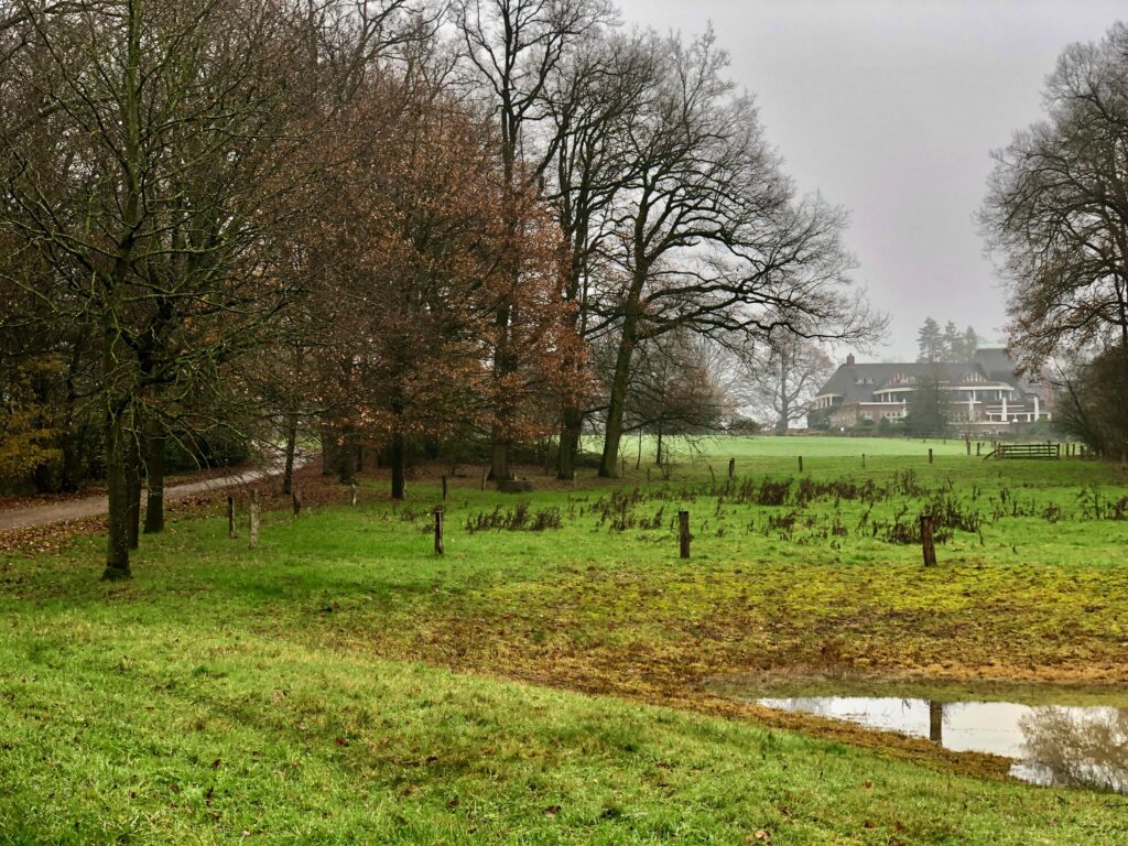De mooiste wandelingen in Twente: De Wilmersberg vanaf de wandelroute door het achterliggende park