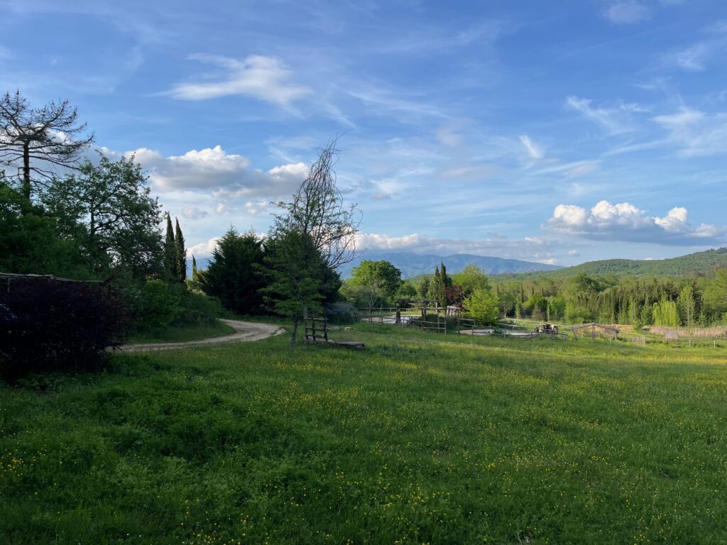 Uitzicht op de Pratomagno vanaf de camping