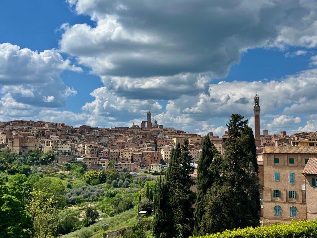 Uitzicht over Siena; meer over dit punt lees je in mijn reisplan voor Toscane!