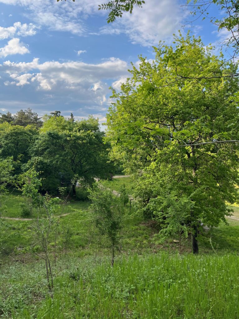 Volop in de natuur op Madonna di Pogi